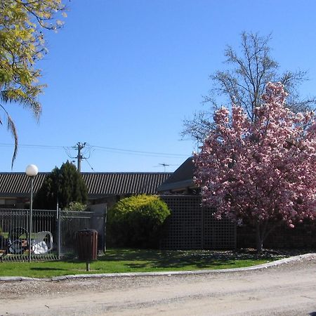 Belvoir Village Motel & Apartments Wodonga Exterior foto