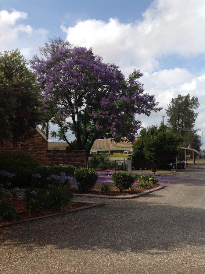 Belvoir Village Motel & Apartments Wodonga Exterior foto