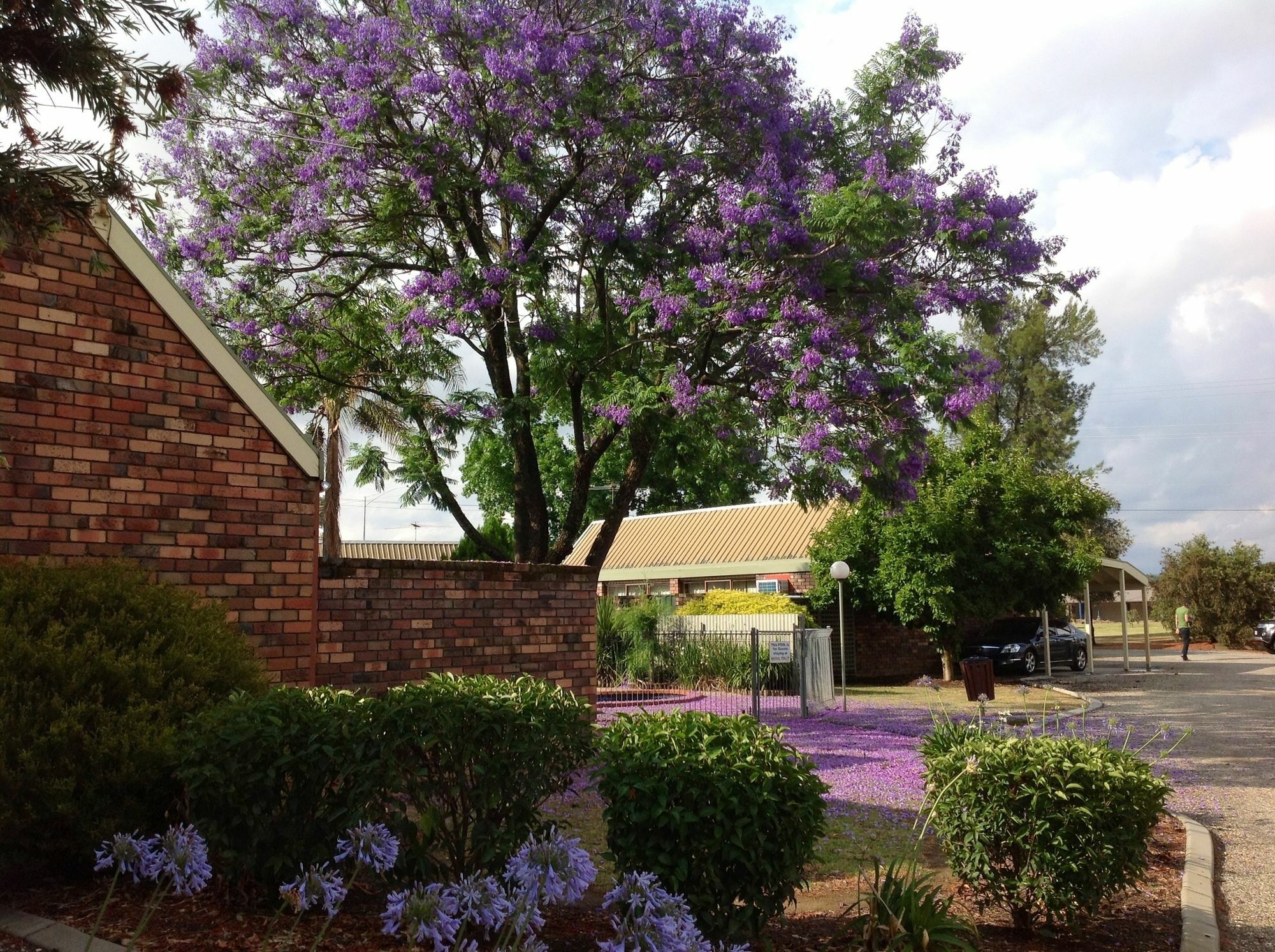 Belvoir Village Motel & Apartments Wodonga Exterior foto